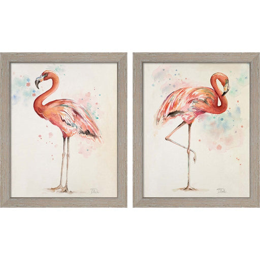 Flamingo by Patricia Pinto, 2 Piece Rustic White Framed Art Set