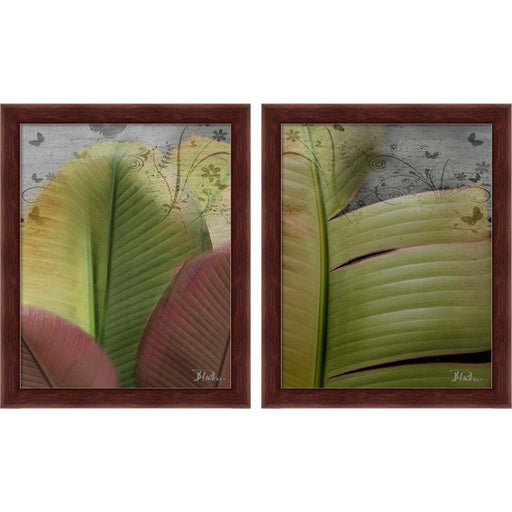 Butterfly Palm by Patricia Pinto, 2 Piece Brown Framed Art Set
