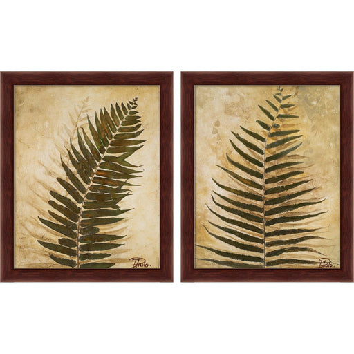 Ferns by Patricia Pinto, 2 Piece Brown Framed Art Set