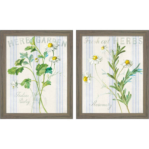 Floursack Herbs by Danhui Nai, 2 Piece Rustic Gray Framed Art Set