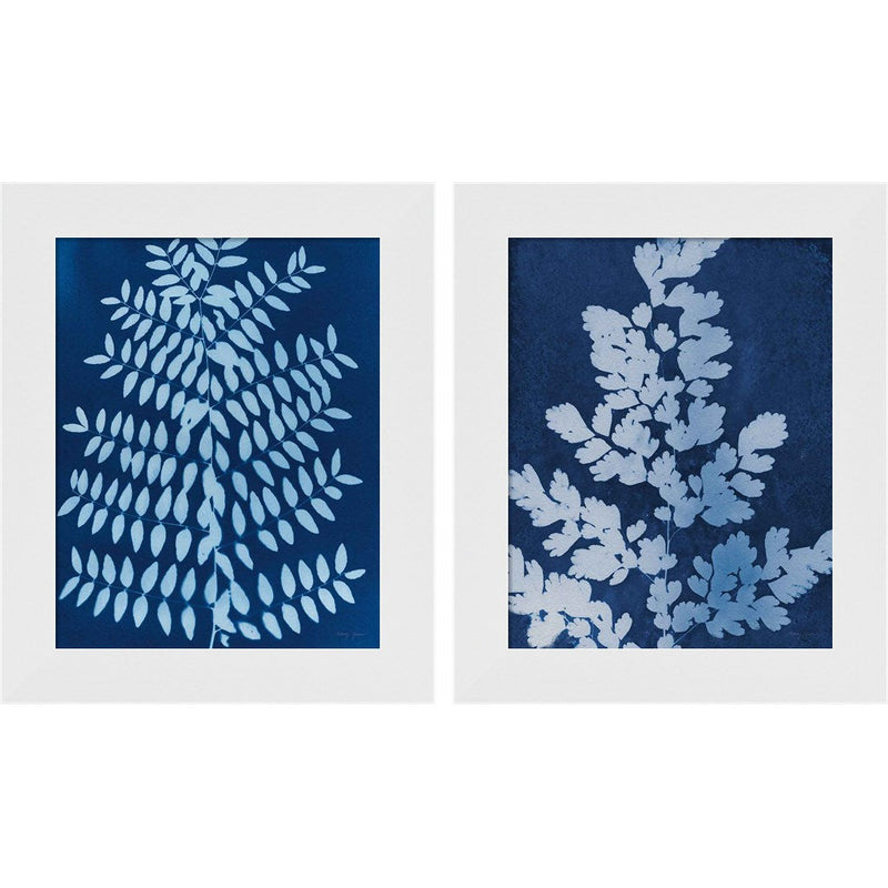 Enchanted Cyanotype by Nancy Green, 2 Piece White Framed Art Set