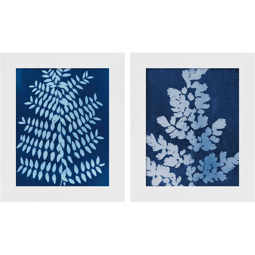 Enchanted Cyanotype by Nancy Green, 2 Piece White Framed Art Set
