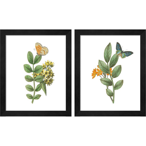 Greenery Butterflies by Wild Apple Portfolio, 2 Piece Black Framed Art Set