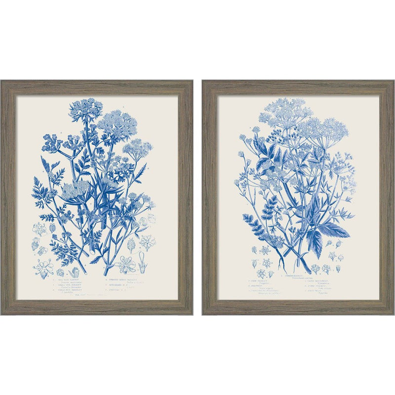Flowering Plants Mid Blue by Wild Apple Portfolio, 2 Piece Rustic Gray Framed Art Set