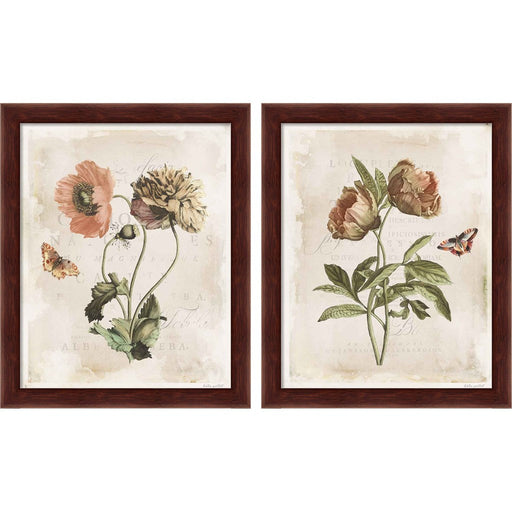 Antiquarian Blooms by Katie Pertiet, 2 Piece Brown Framed Art Set