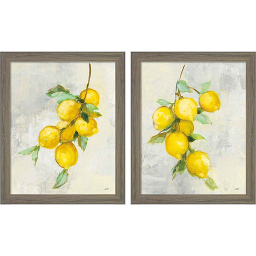 Zest by Julia Purinton, 2 Piece Rustic Gray Framed Art Set