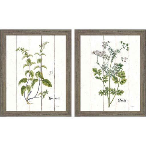 Cottage Herbs by Sue Schlabach, 2 Piece Rustic Gray Framed Art Set