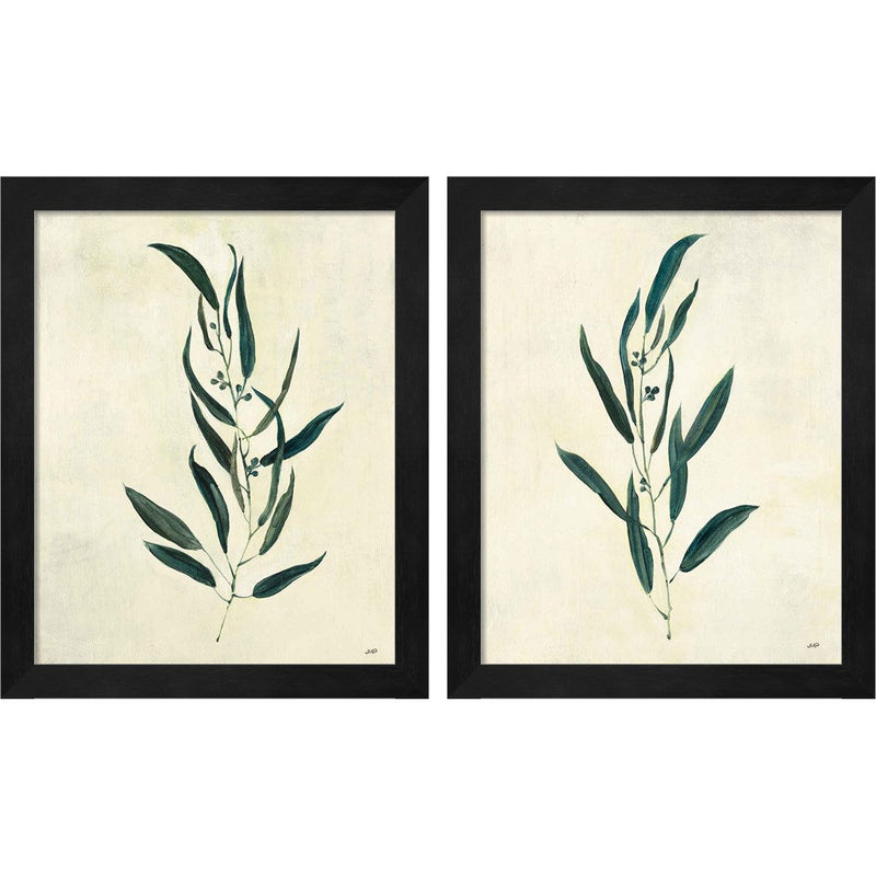 Botanical Study A by Julia Purinton, 2 Piece Black Framed Art Set