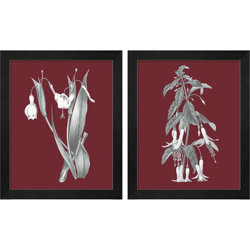 Pomegranate Botanical B by Wild Apple Portfolio, 2 Piece Black Framed Art Set