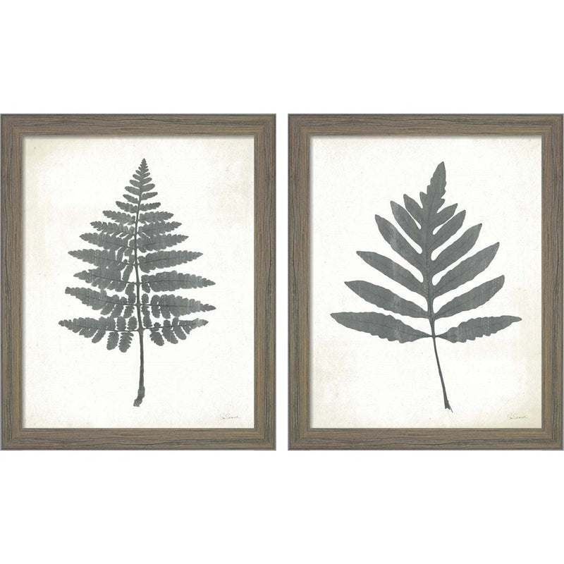 Chalkboard Fern by Sue Schlabach, 2 Piece Rustic Gray Framed Art Set
