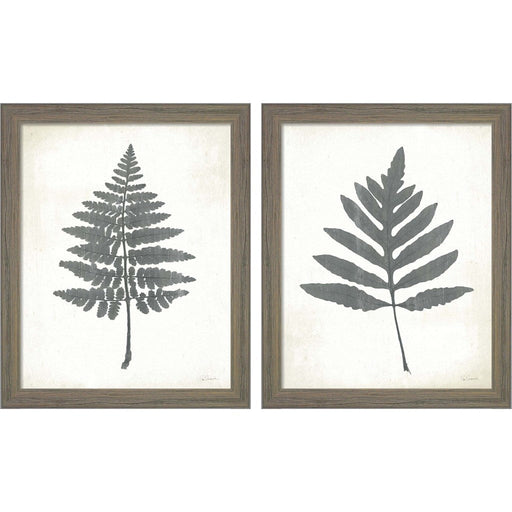 Chalkboard Fern by Sue Schlabach, 2 Piece Rustic Gray Framed Art Set