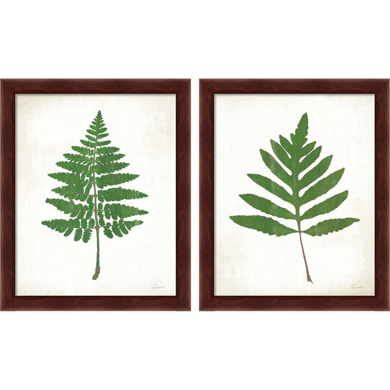 Chalkboard Fern Green by Sue Schlabach, 2 Piece Brown Framed Art Set
