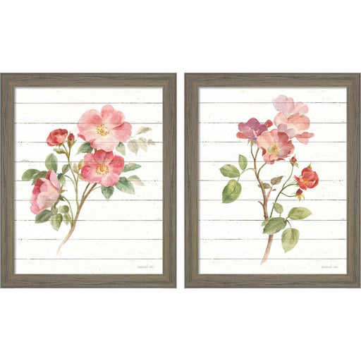 Sprigs of Summer by Danhui Nai, 2 Piece Rustic Gray Framed Art Set