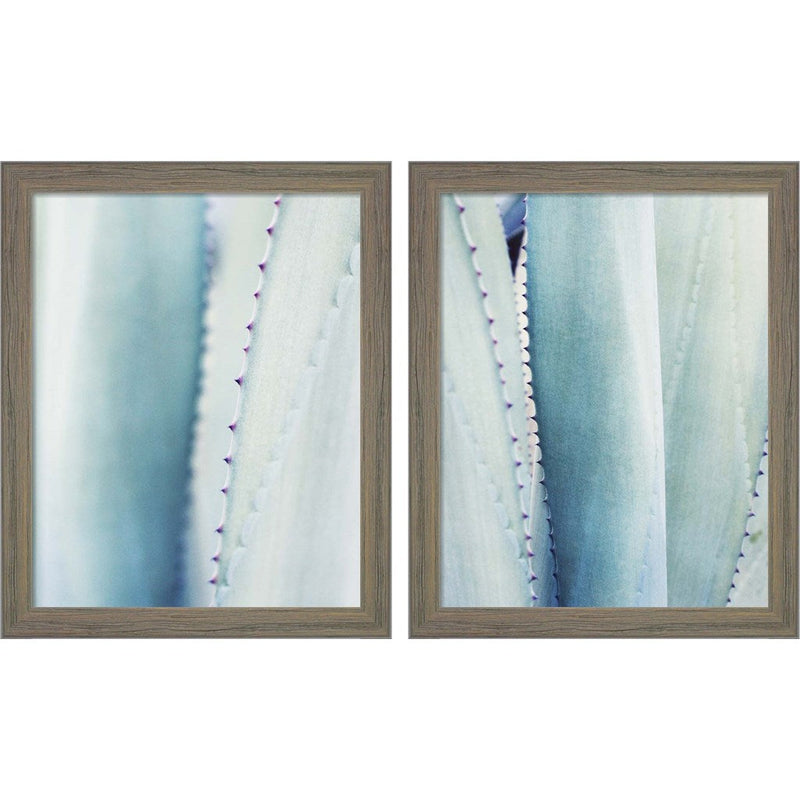 Pale Blue Agave by Lupen Grainne, 2 Piece Rustic Gray Framed Art Set