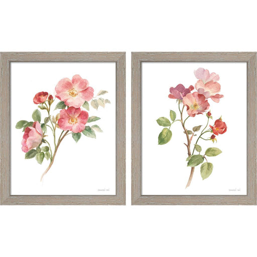 Sprigs of Summer on White by Danhui Nai, 2 Piece Rustic White Framed Art Set