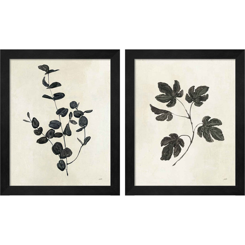 Botanical Study B by Julia Purinton, 2 Piece Black Framed Art Set