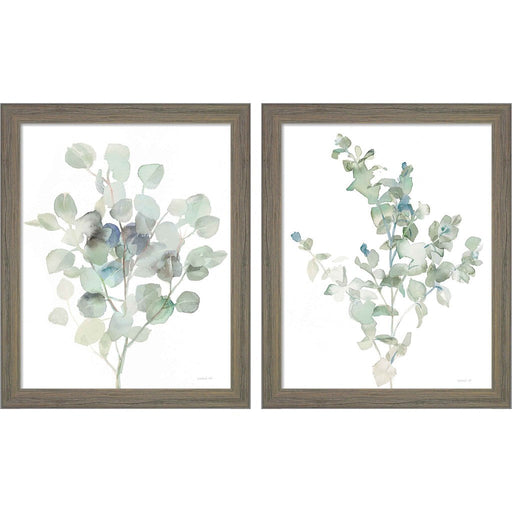 Eucalyptus Cool by Danhui Nai, 2 Piece Rustic Gray Framed Art Set