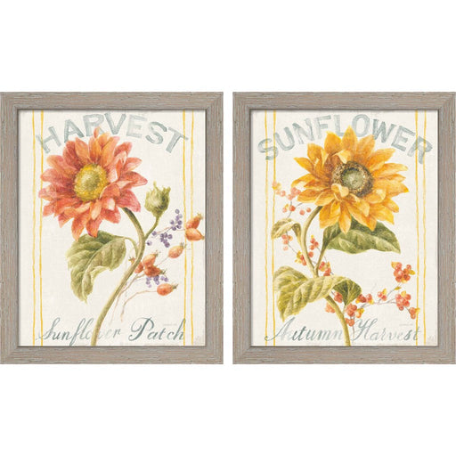 Floursack Autumn by Danhui Nai, 2 Piece Rustic White Framed Art Set