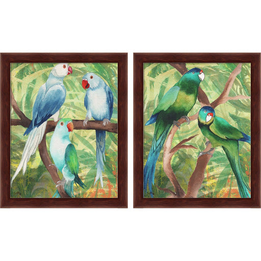 Tropical Birds by Elizabeth Medley, 2 Piece Brown Framed Art Set