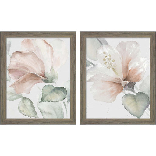 Neutral Hibiscus by Lanie Loreth, 2 Piece Rustic Gray Framed Art Set