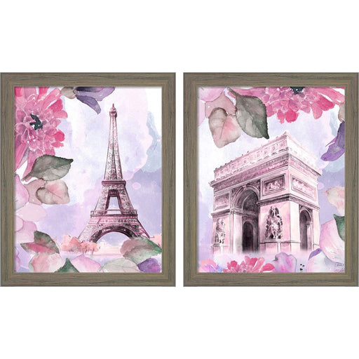 Parisian Blossoms by Lanie Loreth, 2 Piece Rustic Gray Framed Art Set