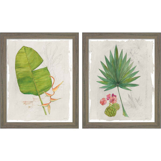 Botanical Journal Light by Avery Tillmon, 2 Piece Rustic Gray Framed Art Set