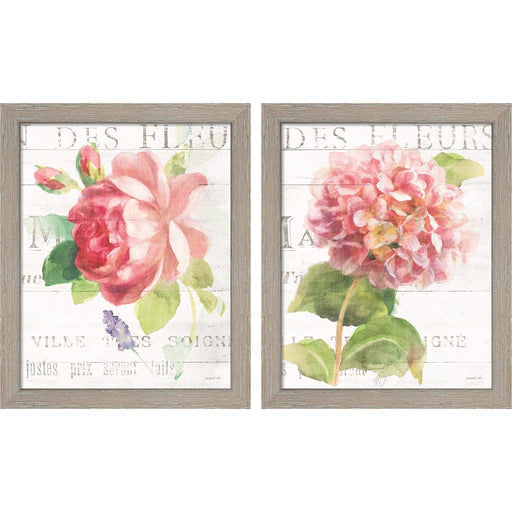 Maison des Fleurs A by Danhui Nai, 2 Piece Rustic White Framed Art Set