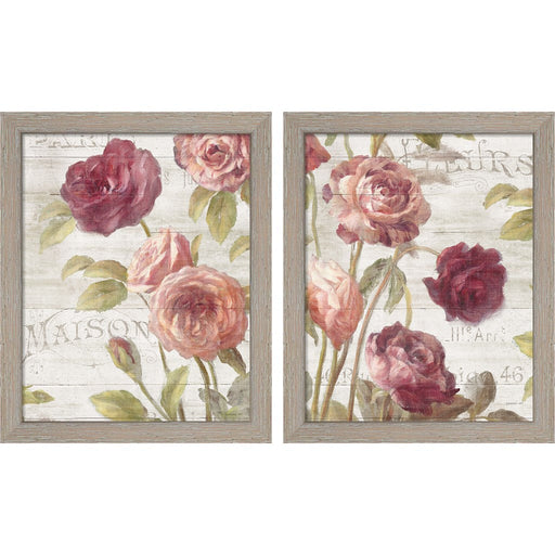 French Roses by Danhui Nai, 2 Piece Rustic White Framed Art Set