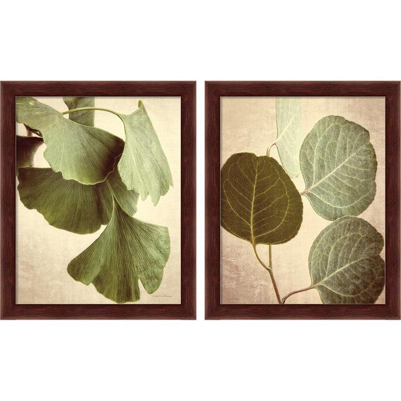 Gingko & Eucalyptus Color by Debra Van Swearingen, 2 Piece Brown Framed Art Set