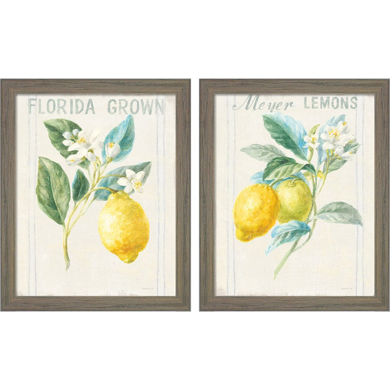 Floursack Lemon v2 by Danhui Nai, 2 Piece Rustic Gray Framed Art Set
