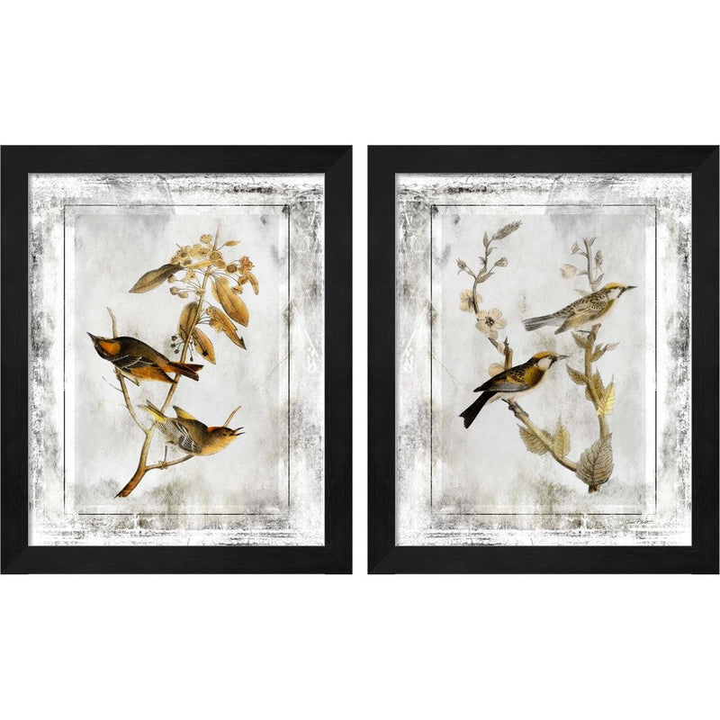 Birds With Class by Jean Plout, 2 Piece Black Framed Art Set