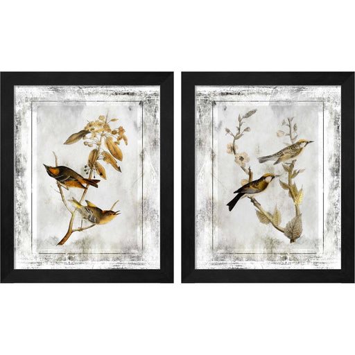 Birds With Class by Jean Plout, 2 Piece Black Framed Art Set