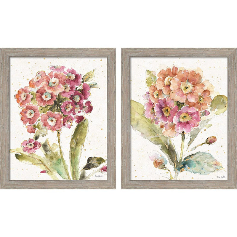Country Bloom by Lisa Audit, 2 Piece Rustic White Framed Art Set