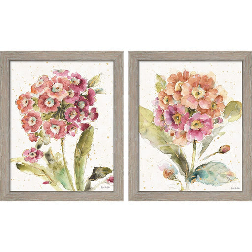 Country Bloom by Lisa Audit, 2 Piece Rustic White Framed Art Set