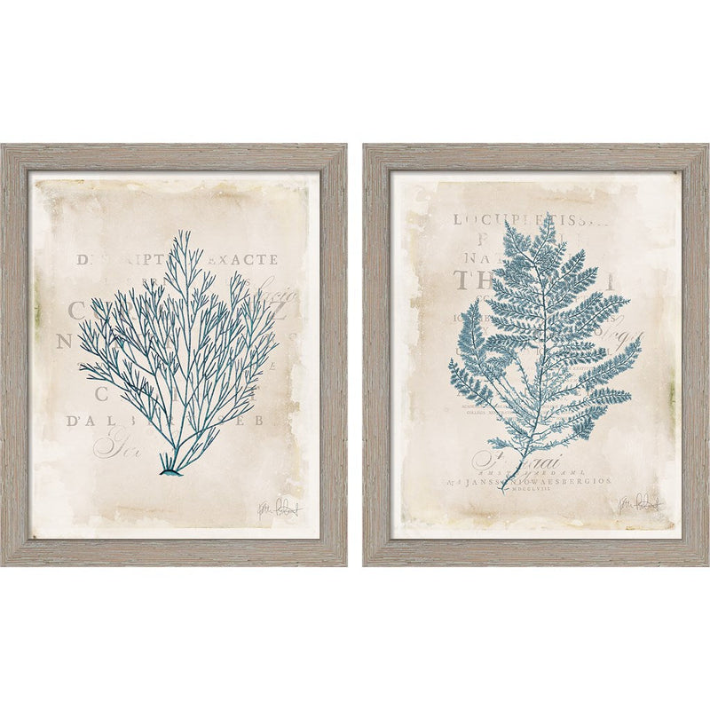 Sea Garden by Katie Pertiet, 2 Piece Rustic White Framed Art Set