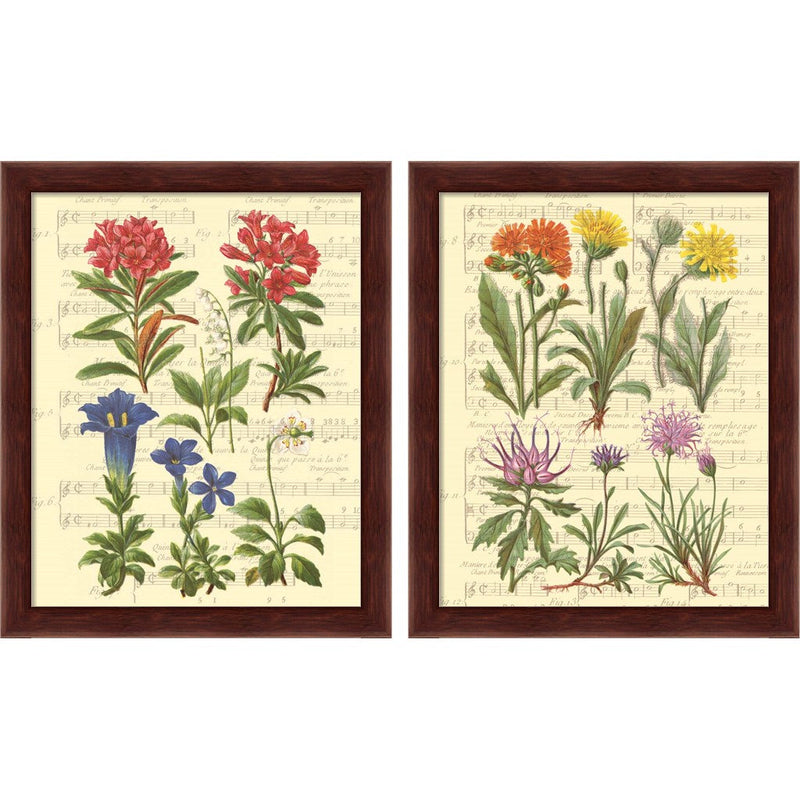 Allegro by Irene Paschal, 2 Piece Brown Framed Art Set
