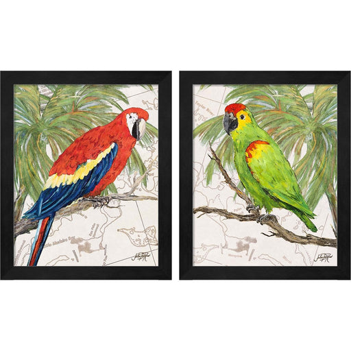 Another Birdn Paradise by Julie DeRice, 2 Piece Black Framed Art Set