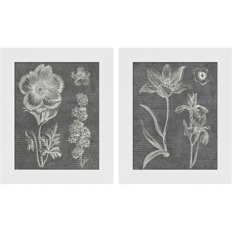 Eden Spring Gray by Wild Apple Portfolio, 2 Piece White Framed Art Set