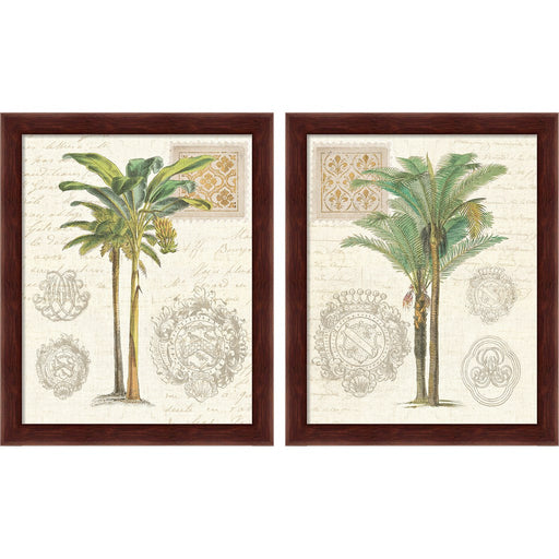 Vintage Palm Study by Wild Apple Portfolio, 2 Piece Brown Framed Art Set