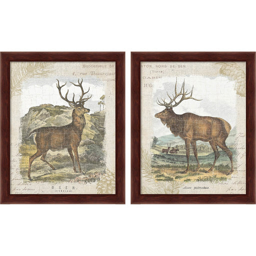 Woodland Stag by Wild Apple Portfolio, 2 Piece Brown Framed Art Set