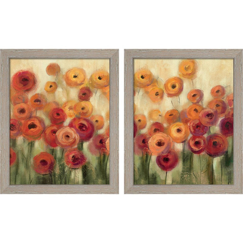Ranunculi Field by Silvia Vassileva, 2 Piece Rustic White Framed Art Set