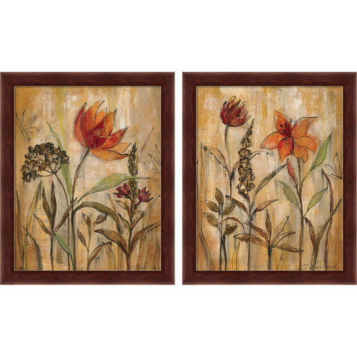 Aquarelle Garden by Silvia Vassileva, 2 Piece Brown Framed Art Set