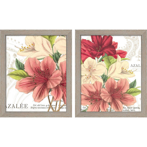 Azalee Jardin by Wild Apple Portfolio, 2 Piece Rustic White Framed Art Set
