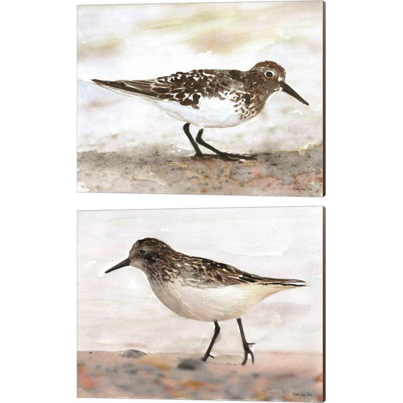 Sandpiper by Stellar Design Studio, 2 Piece Canvas Art Set