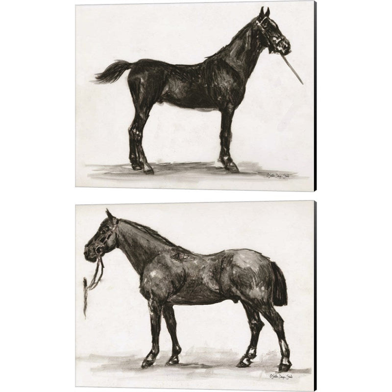 Horse Study by Stellar Design Studio, 2 Piece Canvas Art Set