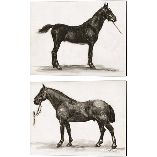 Horse Study by Stellar Design Studio, 2 Piece Canvas Art Set