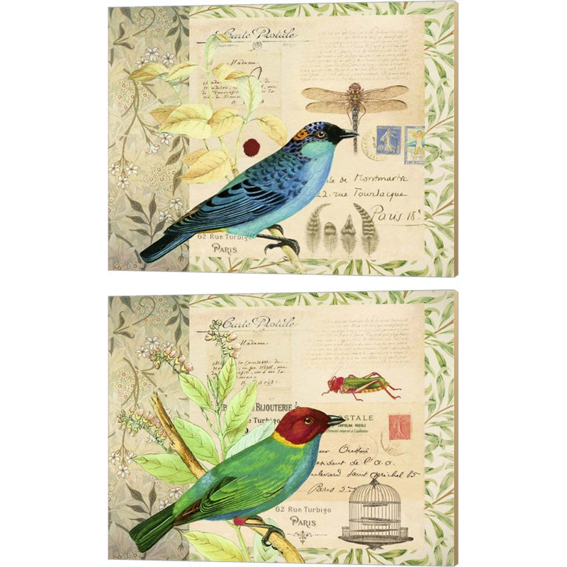 Post Card Birds by Cora Niele, 2 Piece Canvas Art Set