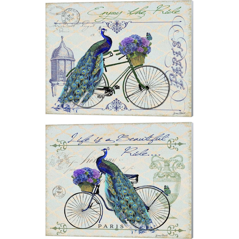 Peacock On Bicylce by Jean Plout, 2 Piece Canvas Art Set