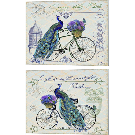 Peacock On Bicylce by Jean Plout, 2 Piece Canvas Art Set