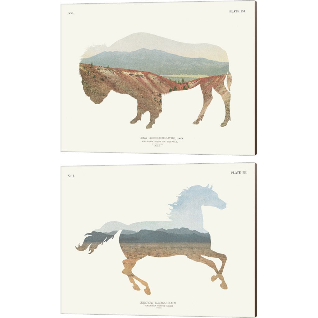 Buffalo Art Collection: Unique Pieces to Elevate Your Space